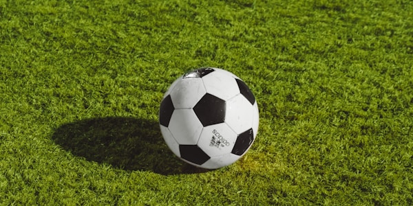 国际足球联合会 FIFA 官方标志合作伙伴
